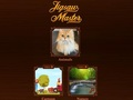 Spiel Puzzle-Meister  Online