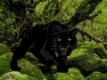 Spiel Flucht aus dem Black Panther Forest  Online