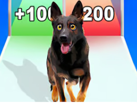 Spiel Hunde-Evolutionslauf  Online