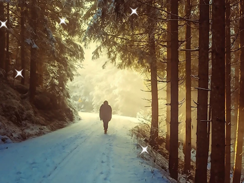 Spiel Versteckte Wintersterne  Online