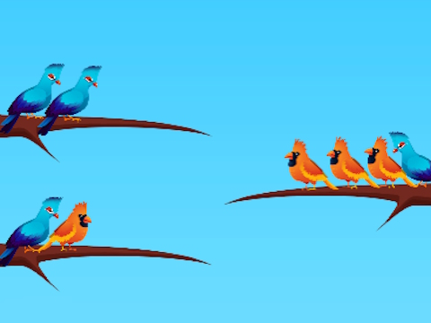 Spiel Vogelsortierung  Online