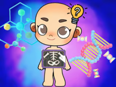 Spiel Kinderquiz: Körperwissenschaft  Online