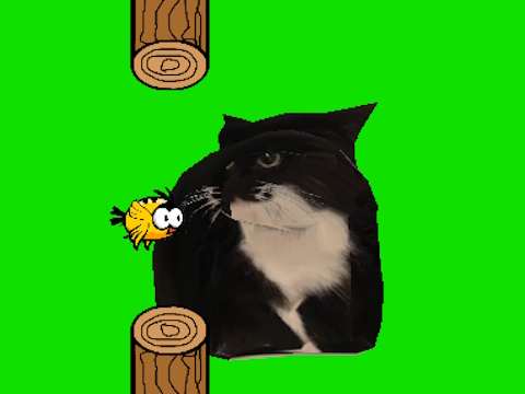 Spiel Flappy Bird Spinning Oia Oia Katze  Online