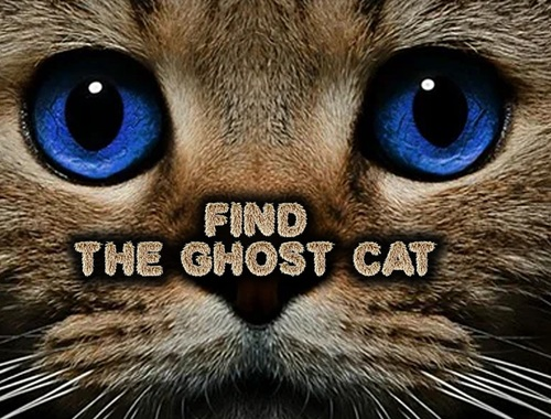 Spiel Finden Sie die Geisterkatze  Online