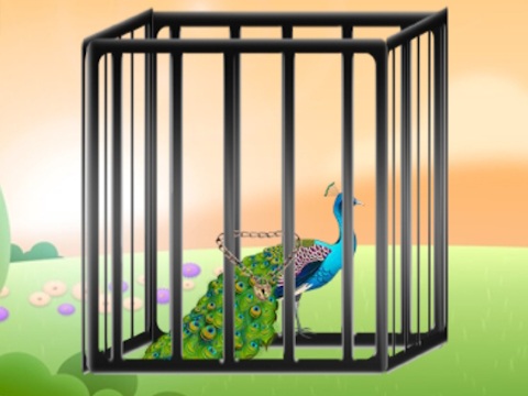 Spiel Retten Sie den strahlenden Pfau  Online