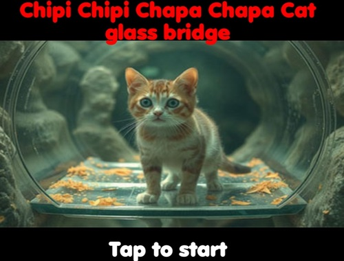 Spiel Chipi Chipi Chapa Chapa Cat Glass Bridge  Online