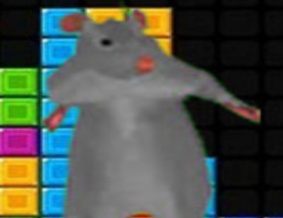 Spiel Ratomilton Fallblöcke  Online
