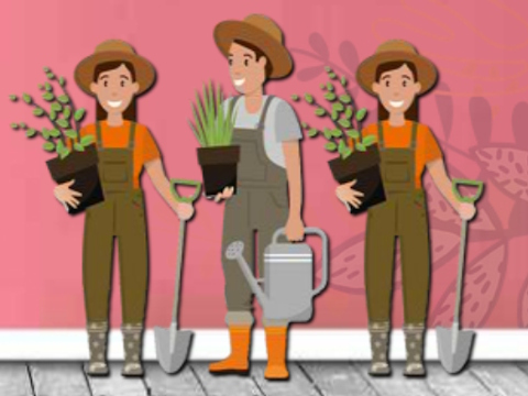 Spiel Gartenwässerung finden können  Online