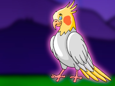 Spiel Lassen Sie den Cockatiel Bird vom Käfig frei  Online
