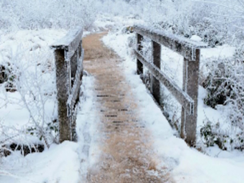 Spiel Bridge Winter Schneesäge  Online