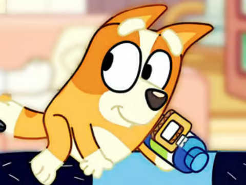 Spiel Puzzle: Bluey Whale Beobachtung  Online