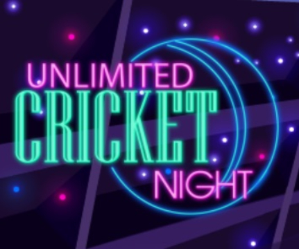 Spiel Unbegrenzte Cricket -Nacht  Online