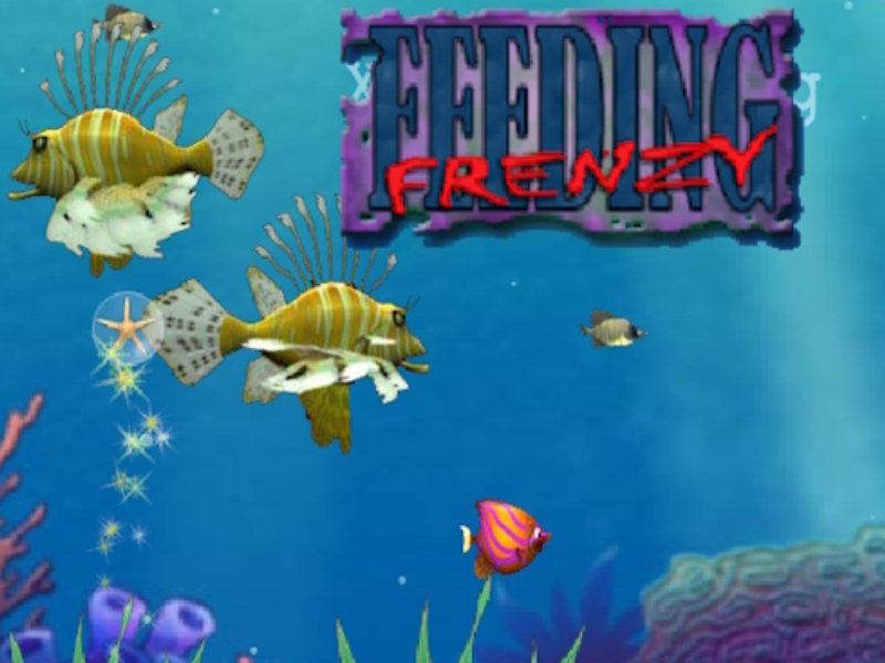 Spiel Füttern Wahnsinn Online