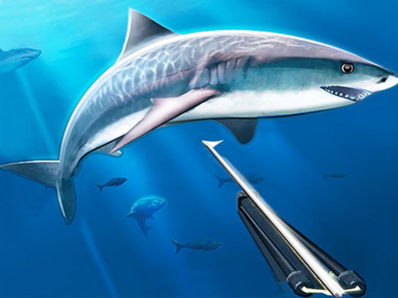 Spiel Jagd unter Wasser Speerfischen Online
