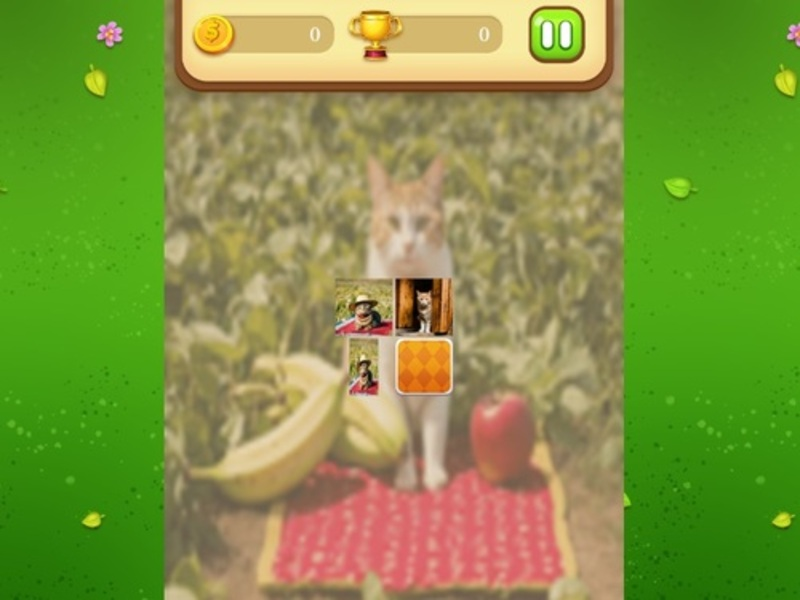 Spiel Farm Cat Memory Match Online