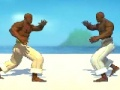 Spiel Capoeira -Kämpfer  Online
