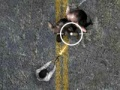 Spiel Undead Autobahn Online