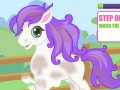 Spiel Cutie Pony Care  Online