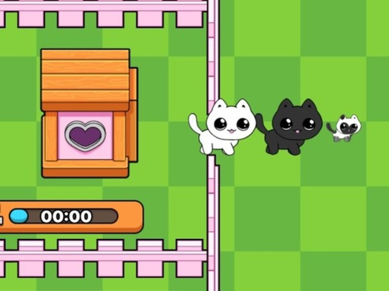 Spiel Meine Kätzchen. Catworld Online